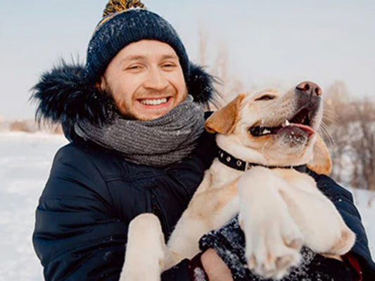 Best Gift Ideas for Dog Lovers — Including Your Dog Walker!