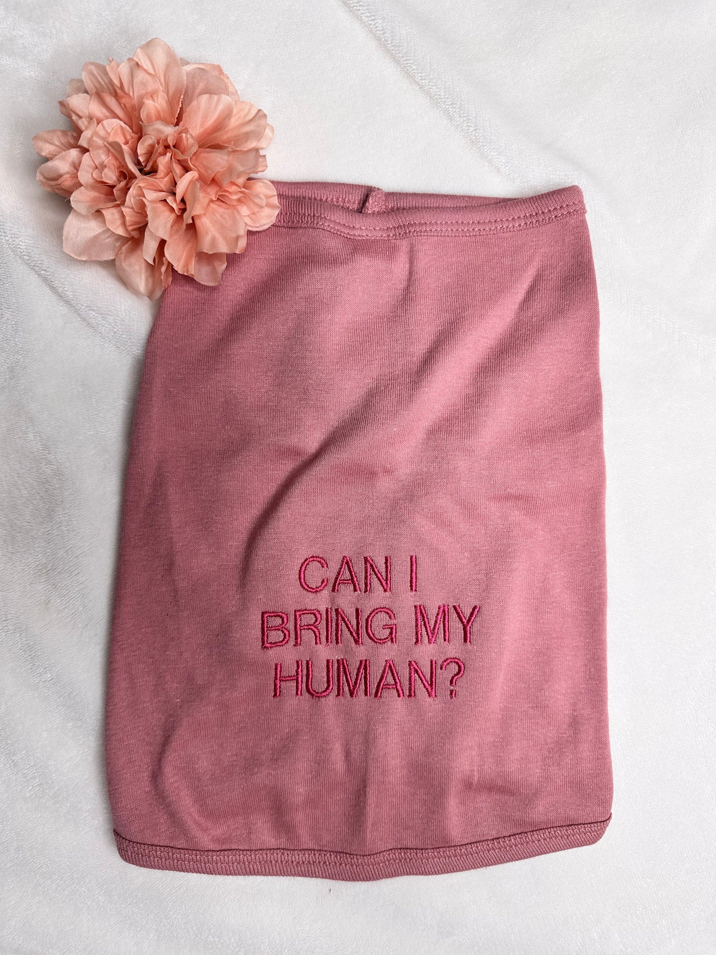 Custom Embroidered Dog Onesie