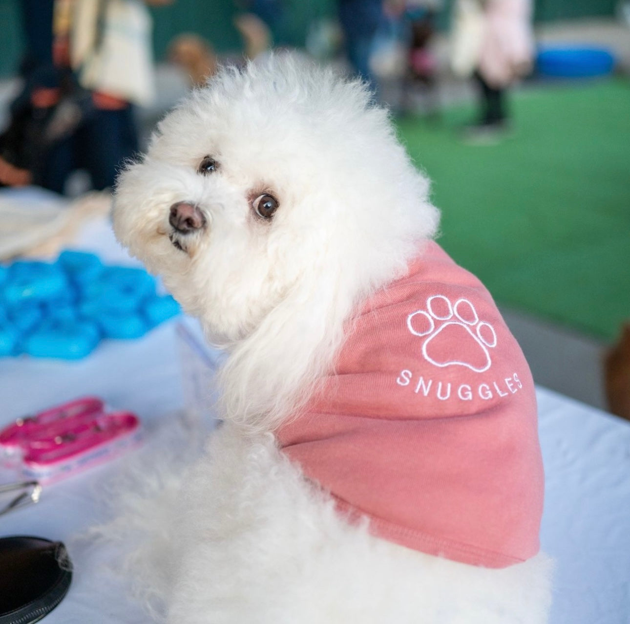 Custom Embroidered Pet Name Onesie