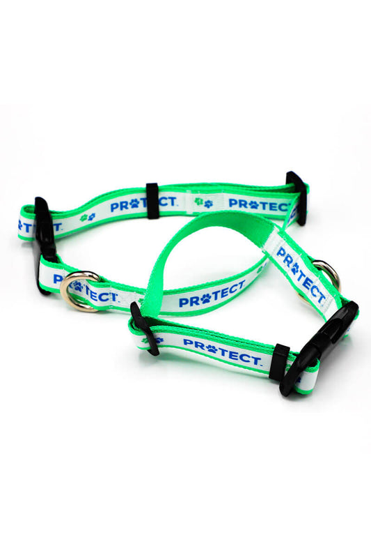 Custom Dog Collar Protect