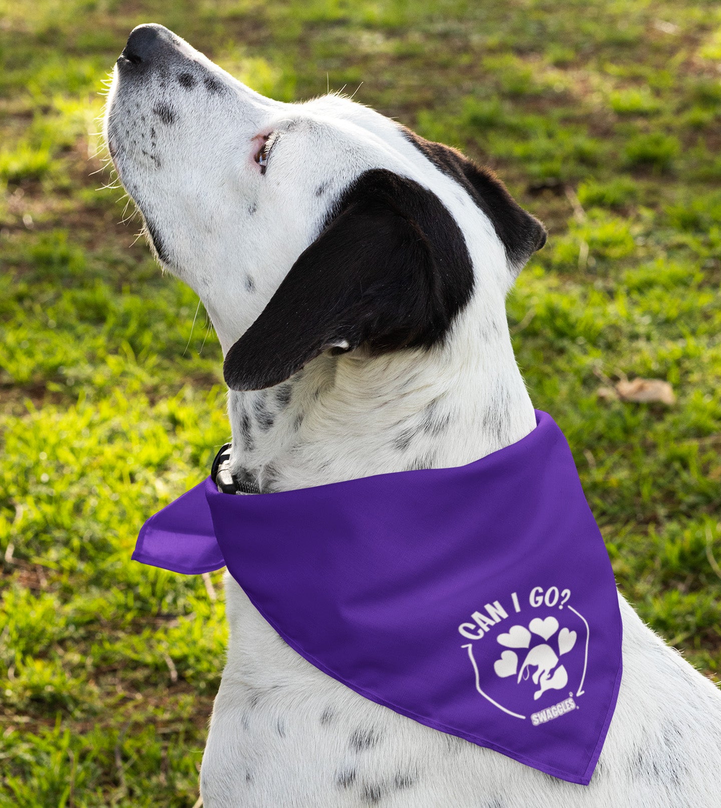 Bandanas