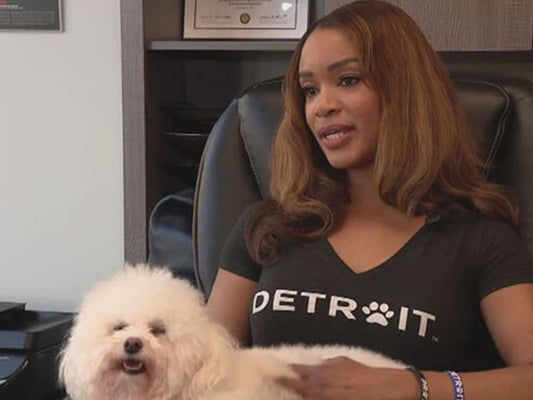 Detroit FOX 2: Swaggles, the pet-swag business helping animals everywhere!