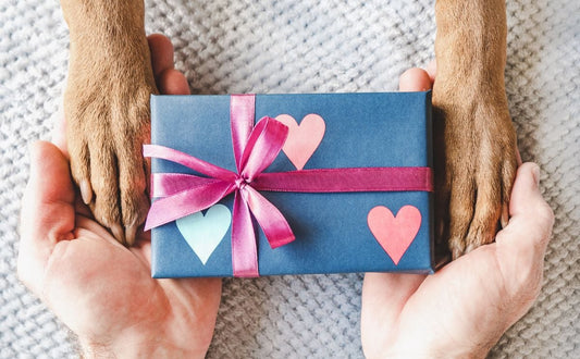 Best Gifts For Dog Lovers: 14 Ideas To Woof About