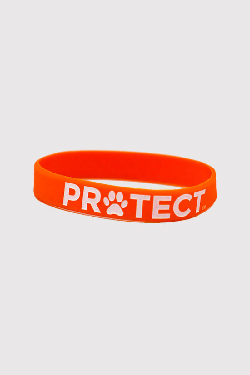 Swaggles Wristbands for Pet Lovers in aid of Animal Shelters