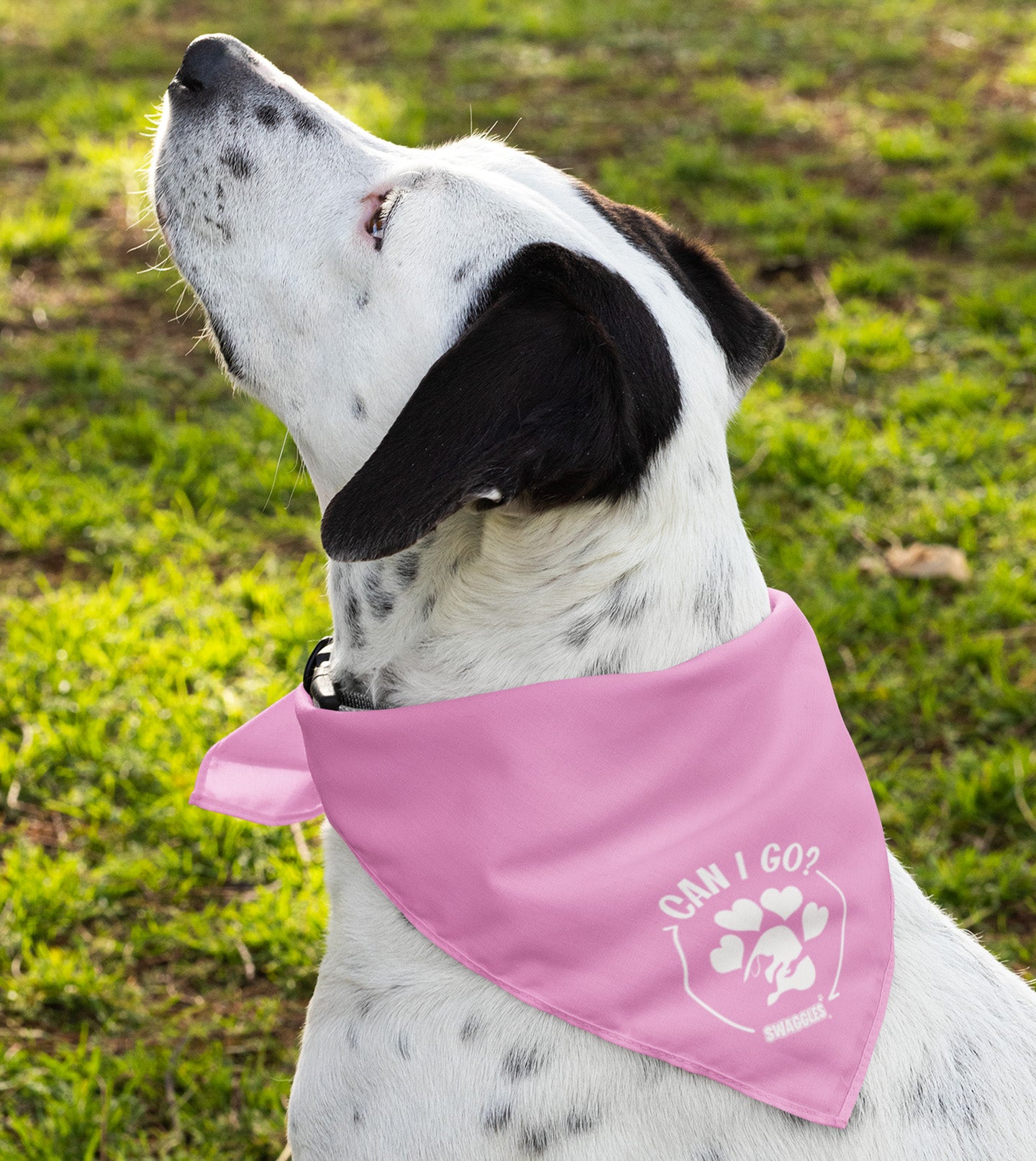 Pink bandanas deals for sale